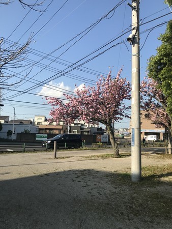 f:id:sumita-m:20210407163341j:image