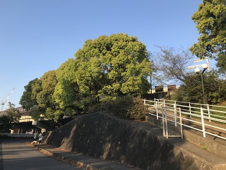 f:id:sumita-m:20210407171947j:image