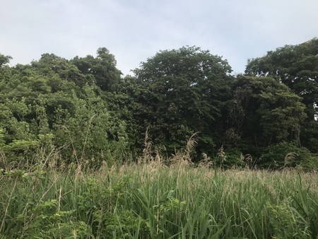 f:id:sumita-m:20210514172956j:image