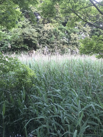 f:id:sumita-m:20210514173045j:image