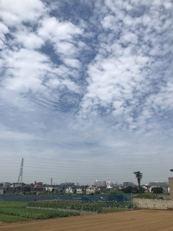 f:id:sumita-m:20210524093303j:image