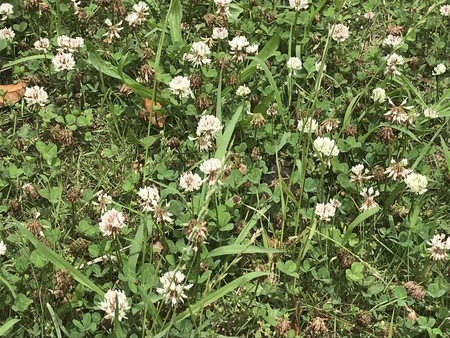 f:id:sumita-m:20210528110106j:image