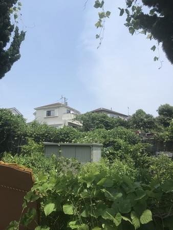 f:id:sumita-m:20210608121129j:image