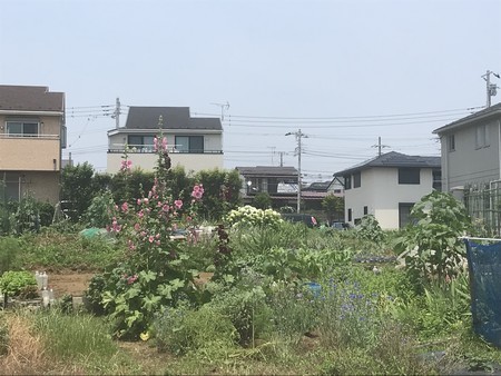 f:id:sumita-m:20210608121248j:image