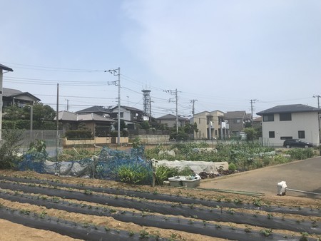 f:id:sumita-m:20210608121359j:image