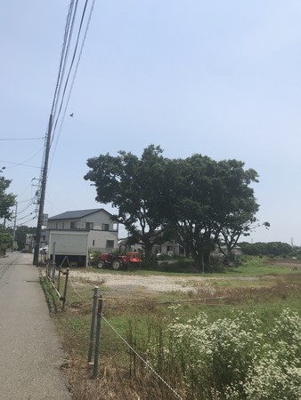 f:id:sumita-m:20210608121538j:image