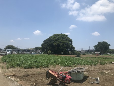 f:id:sumita-m:20210610114241j:image