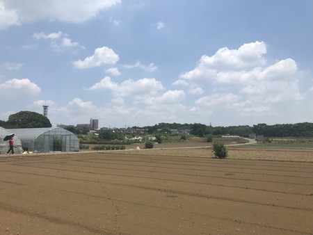 f:id:sumita-m:20210610114716j:image