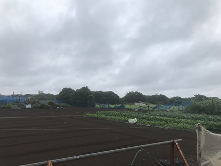 f:id:sumita-m:20210629095156j:image