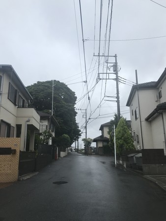 f:id:sumita-m:20210629095336j:image