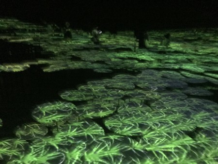 f:id:sumita-m:20210726161606j:image