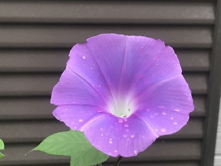 f:id:sumita-m:20210912110624j:image