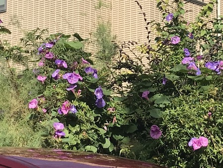 f:id:sumita-m:20211025094323j:image