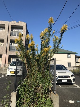 f:id:sumita-m:20211028143430j:image