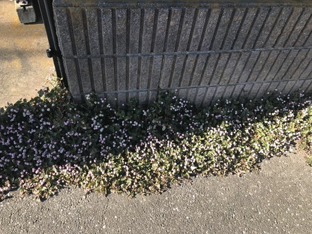 f:id:sumita-m:20211113132435j:image