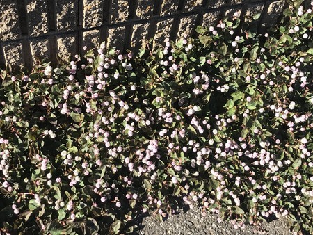 f:id:sumita-m:20211113132447j:image