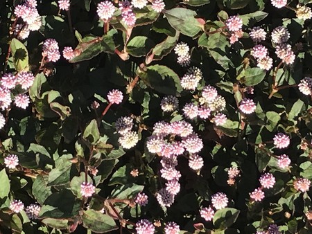 f:id:sumita-m:20211113132456j:image