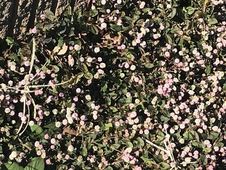 f:id:sumita-m:20211113132502j:image