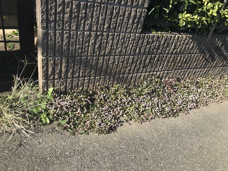 f:id:sumita-m:20211113132508j:image