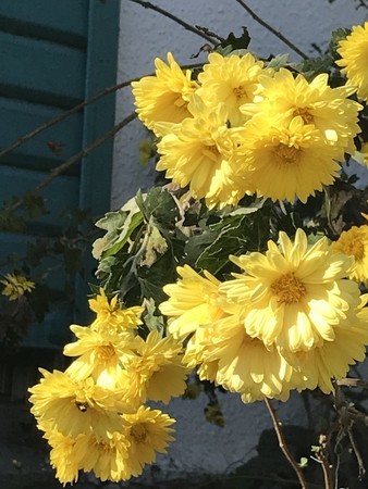 f:id:sumita-m:20211113133251j:image