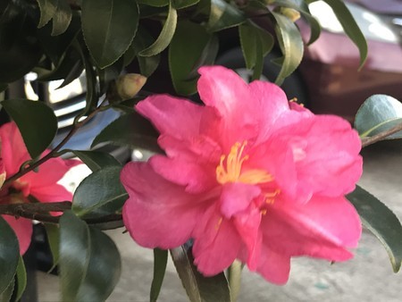 f:id:sumita-m:20211114150938j:image