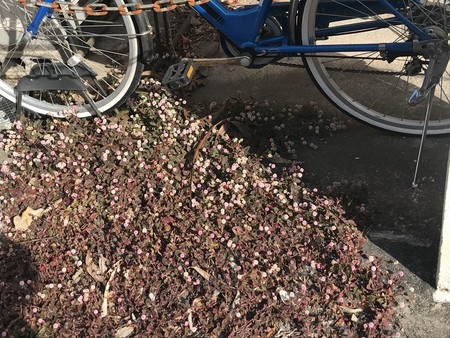 f:id:sumita-m:20211229110745j:image