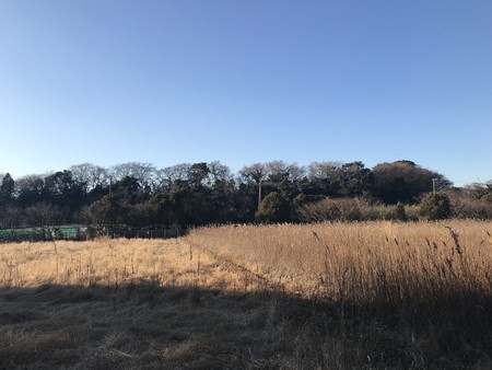 f:id:sumita-m:20220102150517j:image