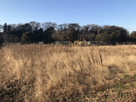 f:id:sumita-m:20220102150616j:image