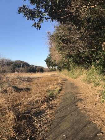 f:id:sumita-m:20220102150704j:image