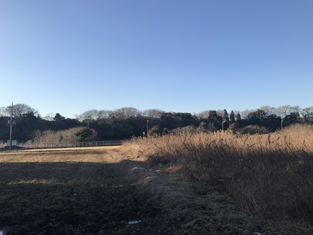 f:id:sumita-m:20220102150755j:image