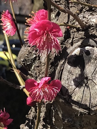 f:id:sumita-m:20220225113359j:image