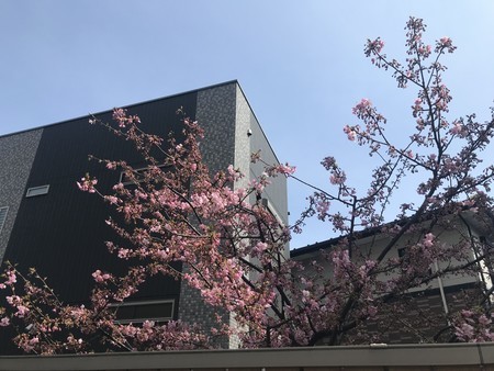 f:id:sumita-m:20220310113958j:image