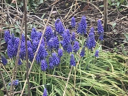 f:id:sumita-m:20220401101305j:image