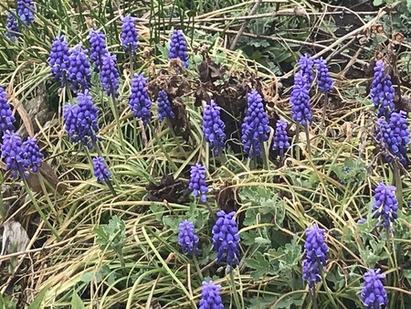 f:id:sumita-m:20220401101311j:image