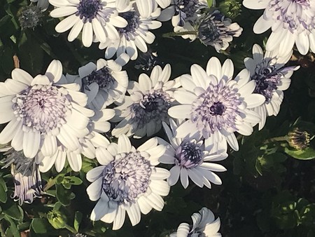 f:id:sumita-m:20220408162308j:image