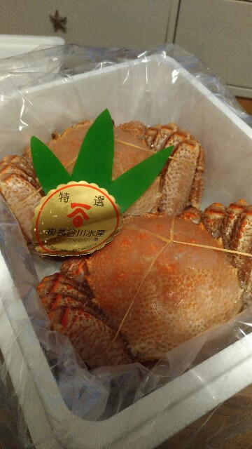 f:id:sumivivi:20170111112725j:image f:id:sumivivi:20170111112725j:image