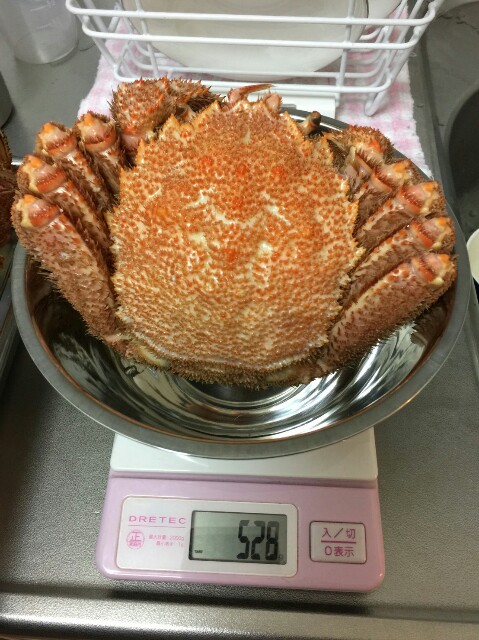 f:id:sumivivi:20170111135616j:image f:id:sumivivi:20170111135616j:image