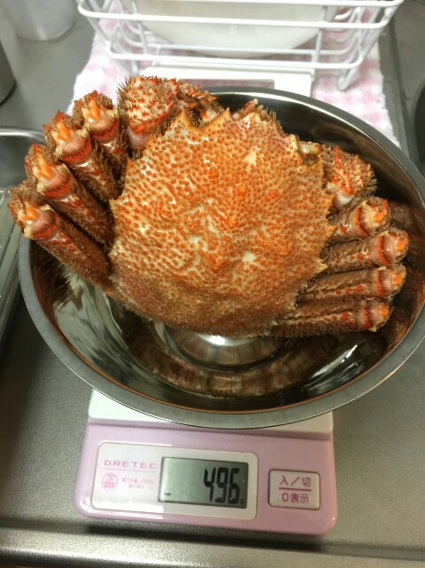 f:id:sumivivi:20170111135627j:image f:id:sumivivi:20170111135627j:image