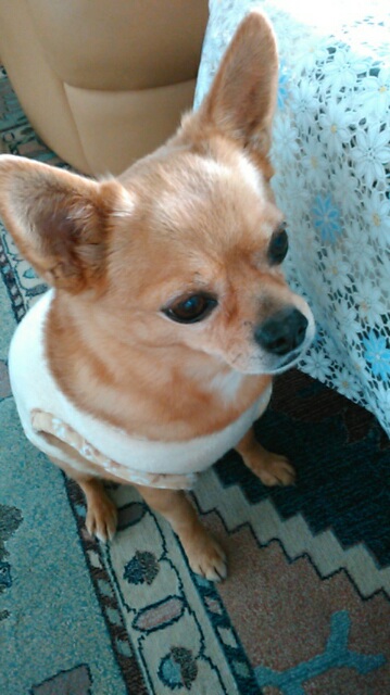 f:id:sumiyo42:20180415190714j:image:w150:right