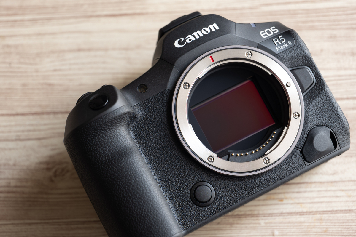 EOS R5 MarkIIの動画性能を10日ほど試してた話 - とあるビデオグラファーの備忘録的ブログ, image size:1200x800