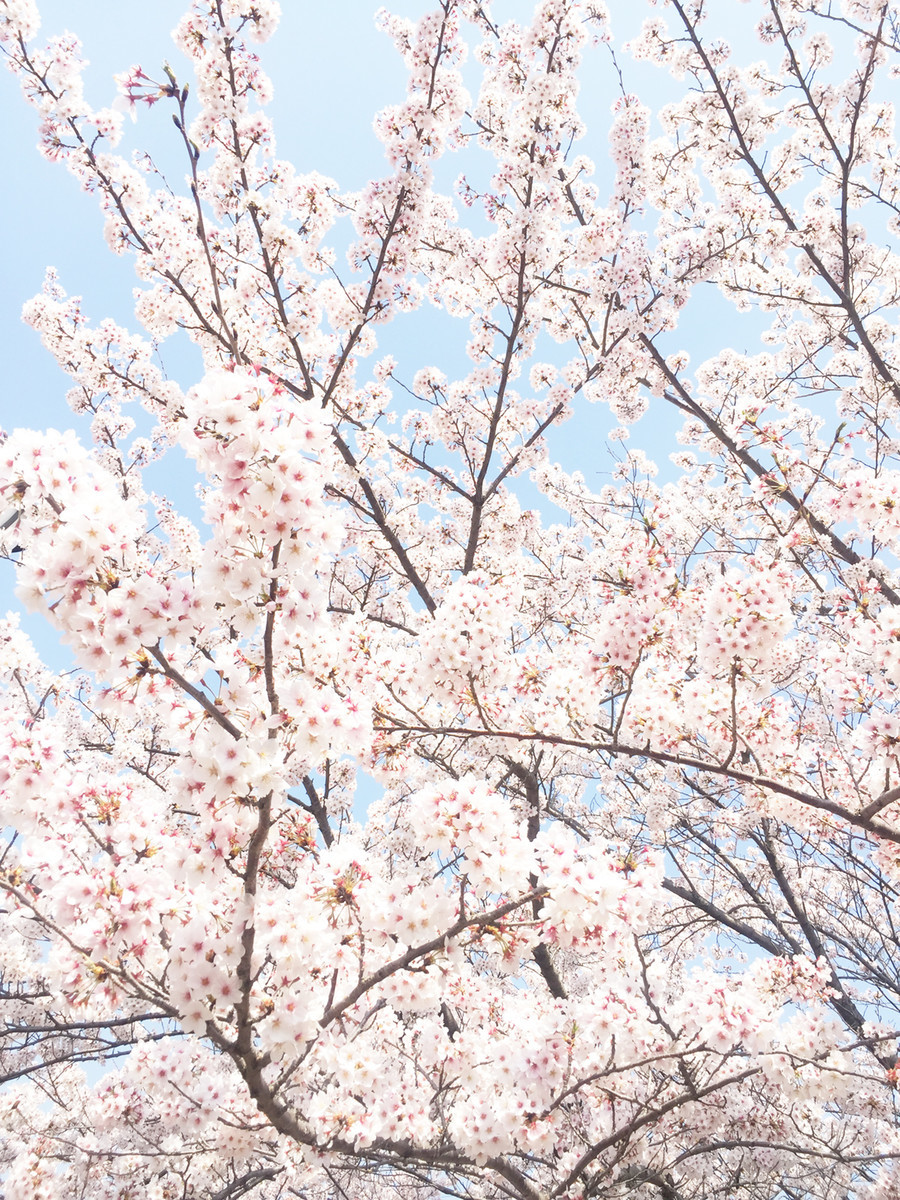f:id:summarit:20200331110533j:plain f:id:summarit:20200331110533j:plain