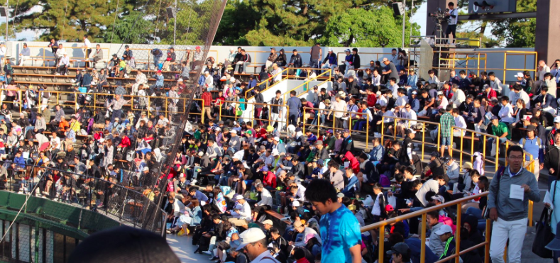 f:id:summer-jingu-stadium:20170603065157p:plain f:id:summer-jingu-stadium:20170603065157p:plain