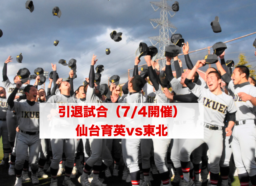 f:id:summer-jingu-stadium:20170624085002p:plain f:id:summer-jingu-stadium:20170624085002p:plain
