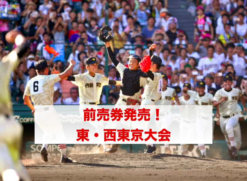 f:id:summer-jingu-stadium:20170624093300p:plain f:id:summer-jingu-stadium:20170624093300p:plain