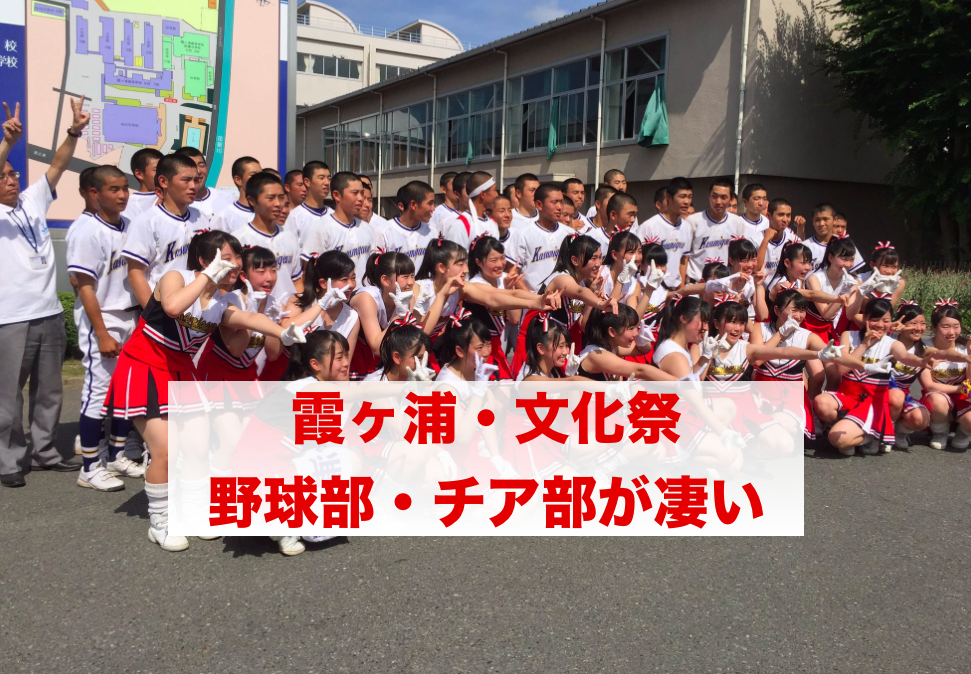 f:id:summer-jingu-stadium:20170625094423p:plain f:id:summer-jingu-stadium:20170625094423p:plain