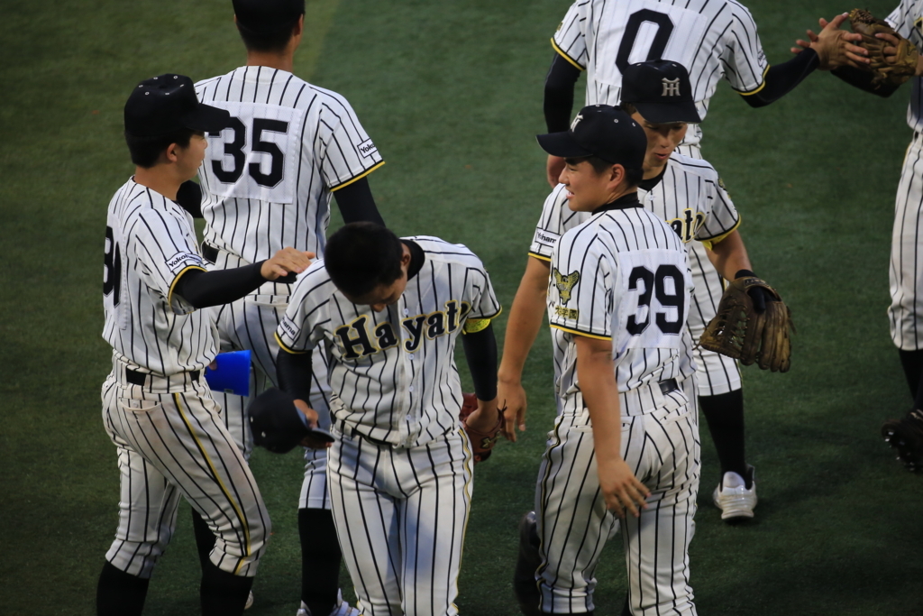 f:id:summer-jingu-stadium:20170630212343j:plain f:id:summer-jingu-stadium:20170630212343j:plain