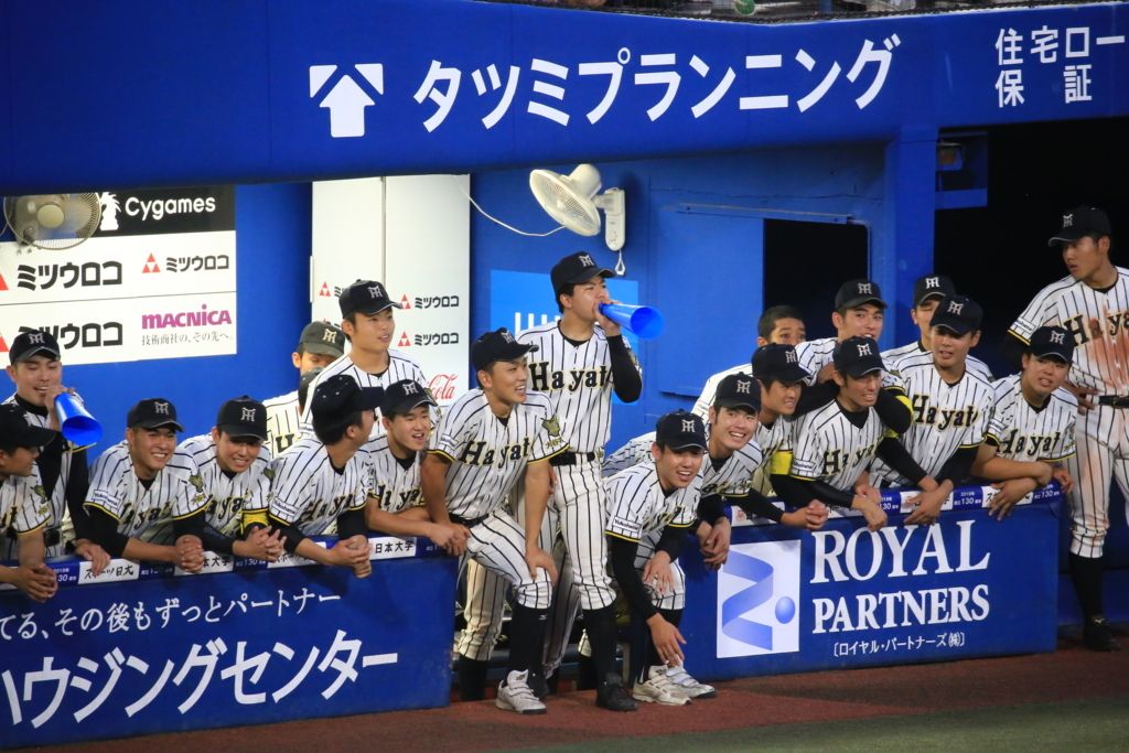 f:id:summer-jingu-stadium:20170630212618j:plain f:id:summer-jingu-stadium:20170630212618j:plain