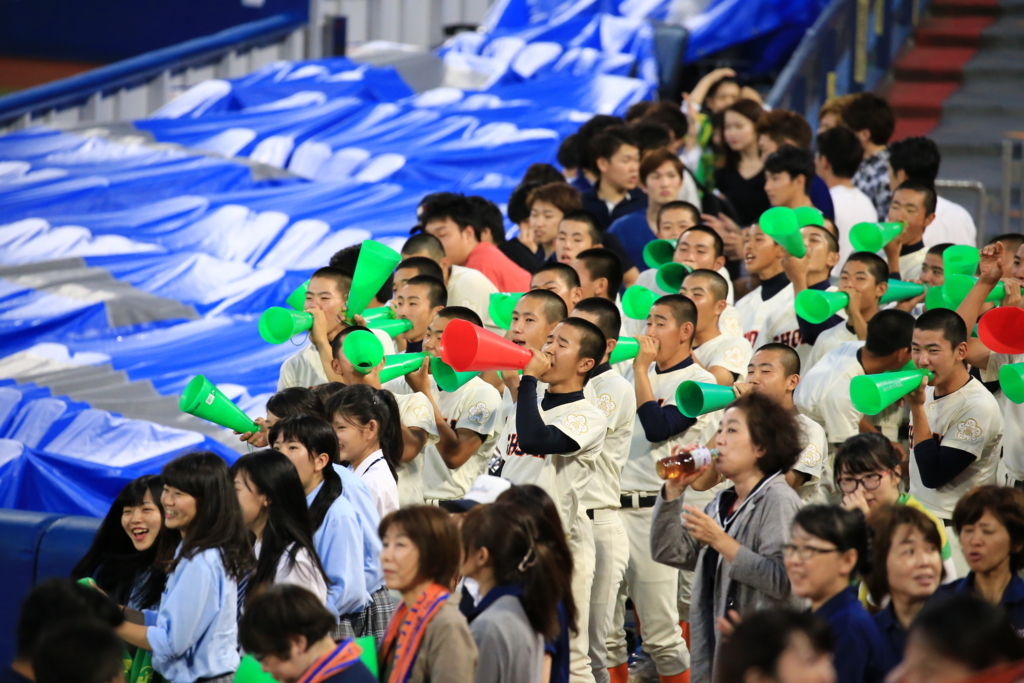 f:id:summer-jingu-stadium:20170630212705j:plain f:id:summer-jingu-stadium:20170630212705j:plain