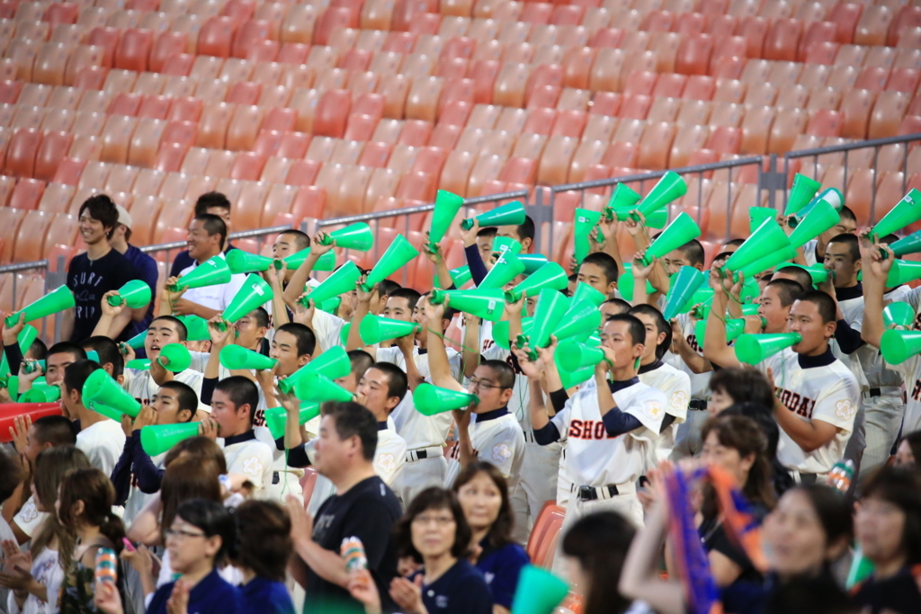 f:id:summer-jingu-stadium:20170630212748j:plain f:id:summer-jingu-stadium:20170630212748j:plain