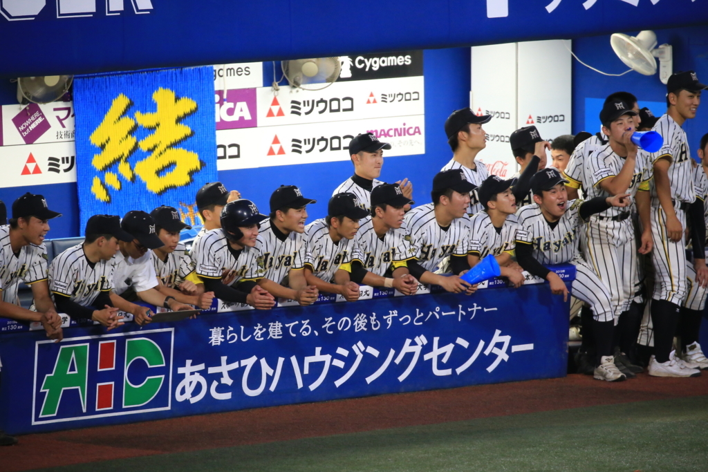 f:id:summer-jingu-stadium:20170630212759j:plain f:id:summer-jingu-stadium:20170630212759j:plain